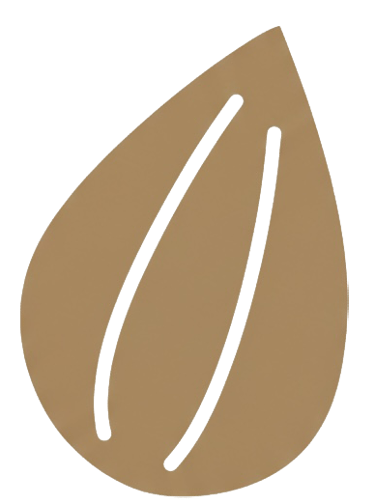 SEED Early Childhood Seed Logo