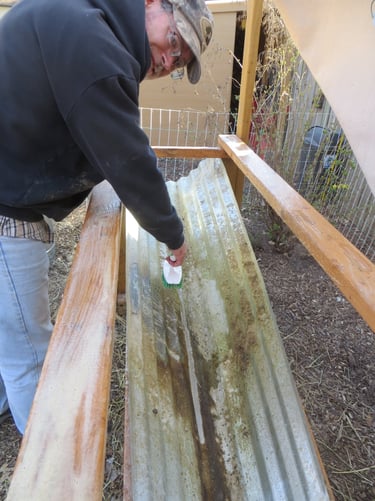 Cleaning cages.