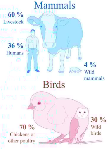 Distribution of biomass in mammals and birds - Human influence is huge