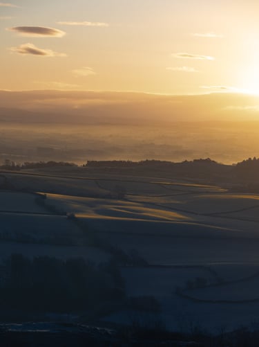a contrasty and frosty lanscape being illuminated by a golden sunrise