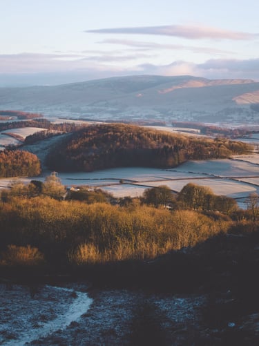 a frosty countryside with trees being lit with a warm sunrise