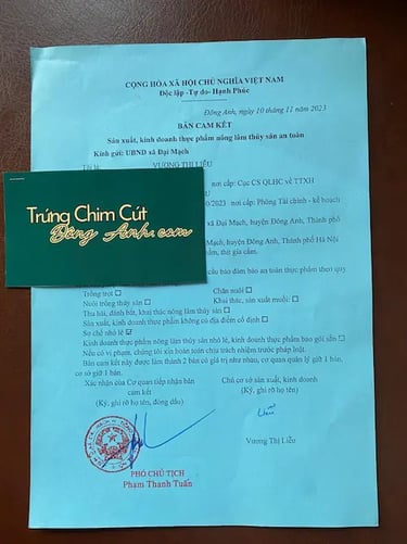 Giay Chung Nhan ATTP Trung Chim Cut Dong Anh