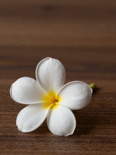 A minimalist detail shot featuring a single white Frangipani flower resting on a dark #3F322A wooden surface. The lighting is soft and warm, highlighting the delicate textures and the brand's focus on authentic, simple beauty. Colors: #F8F5EF, #7B6654.