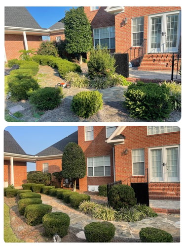Wilson NC Lawn Care Services | Rubio's Lawn Care & Landscaping