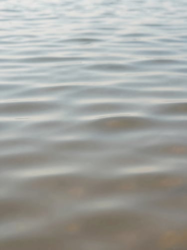Extreme close-up of soft ripples expanding on calm water, diffused morning daylight, muted slate and sand tones, shallow depth of field, 35mm