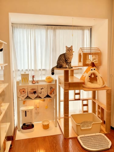 Organized cat zone with litter box, cat tree, storage shelf and resting areas in a warm small apartm