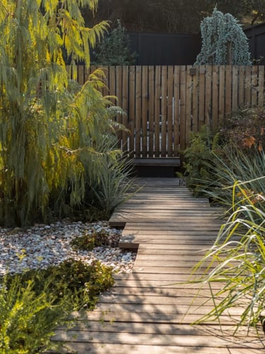 Wooden garden pathway surrounded by grasses, shrubs and natural planting, creating a calm outdoor sp