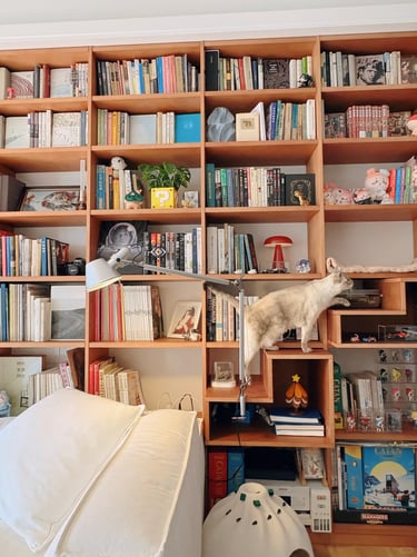 Wooden bookshelf cat furniture with books, display shelves and a cat climbing through an integrated