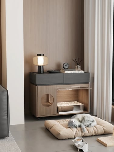 Calm pet-friendly living area with a soft cat cushion, simple storage cabinet and fewer essentials f