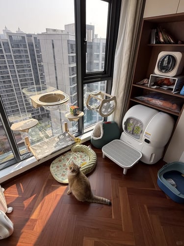 Window-side cat activity corner with a cat perch, soft pet bed and small cat furniture beside large