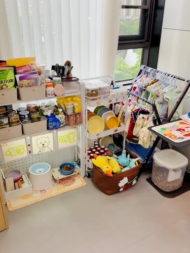 Pet supplies organized near a window with storage boxes, bowls, toys and cleaning items in a compact