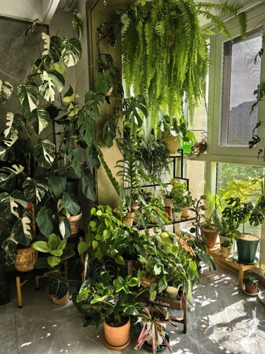 Modern balcony garden with lavender, rosemary, ivy, ferns, geraniums and ornamental grasses arranged