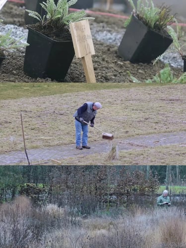 Winter garden maintenance and dormant grasses showing how structure, texture and quiet beauty remain