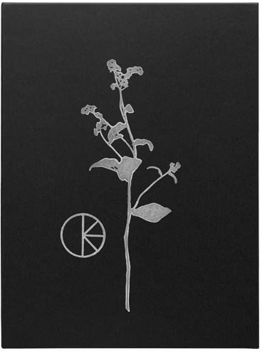 Deckel mit Vergissmeinnicht des Schmuckkästchens