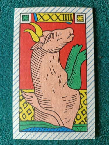 Tauro Solleone 1980