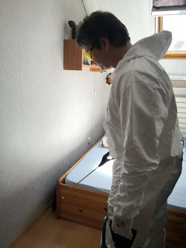 ágyi poloska irtás