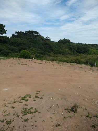 imagem do lote implantação de container