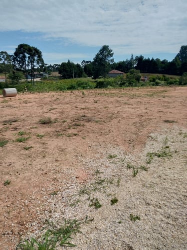 imagem do lote implantação de container