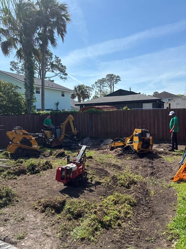 before landscaping 