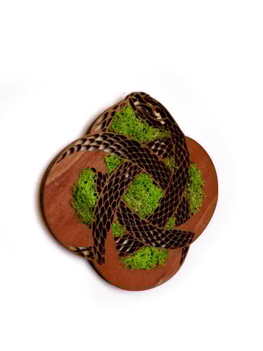 a pair of sandals with mossel and mossel