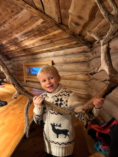 Reindeer Antler