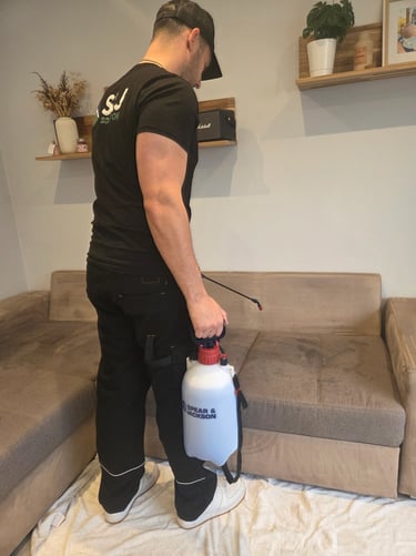 Professionnel qui nettoie et détache un canapé à Grenoble