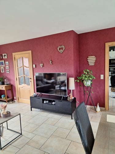 Espace salon avant transformation avec un meuble TV, une plante et une porte avec un mur bordeaux