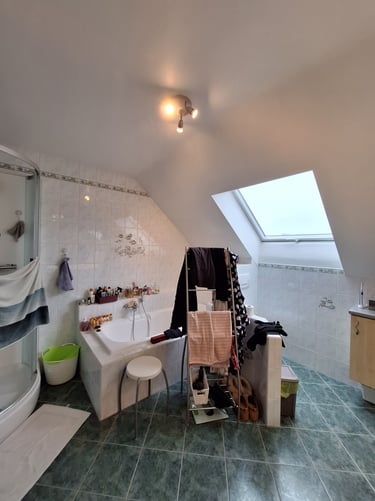 Salle de bain avant rénovation avec un velux, une baignoire et une douche