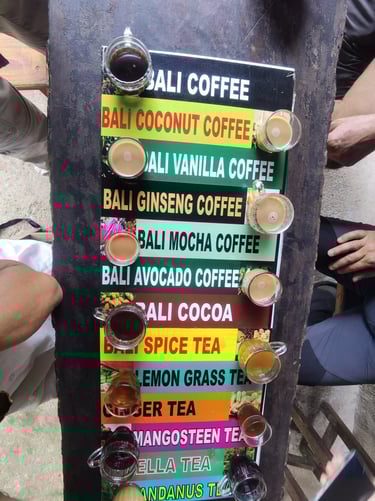 dégustion de thé et café kopi luwak Ubud Bali