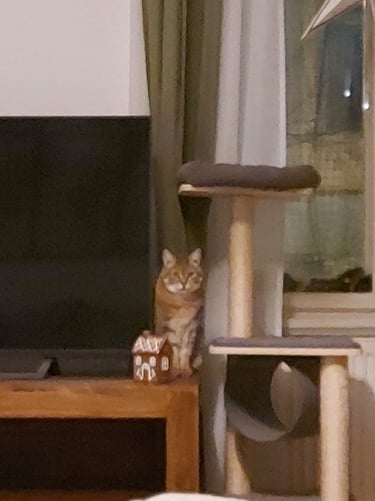 Blurry photo of a tabby cat sitting next to the TV set