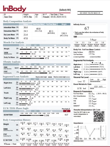 inbody 380 report