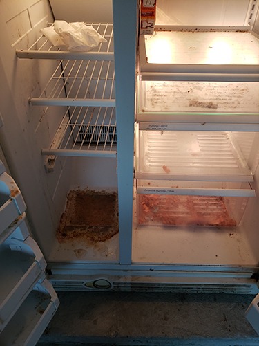 Reliable Cleaning Services Palm Coast FL Commercial Residential Vacation Rentals Call 386-237-2638