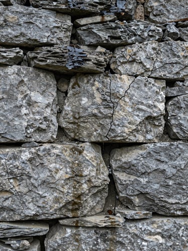 Extreme close-up of a cracked stone masonry wall in an alpine mountain dwelling, overcast diffused daylight revealing moisture staining and structural fissure pattern — no people, no staging, purely material diagnostic detail