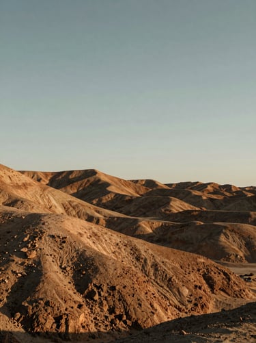 Low-angle shot of raw desert topography and rolling hills under a crisp overcast sky, sharp details of soil and rock textures.