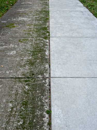 Residential concrete walkway split down the center, left side coated in dark green algae and weathered grime, right side clean bright gray concrete, natural overcast daylight, environmental wide shot showing path edge detail