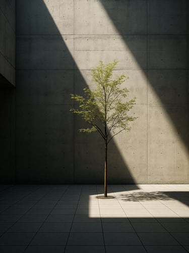 Straight-on architectural shot of an interior courtyard, natural light streaming down a raw concrete wall, a single minimalist tree, deep shadows, high-contrast daylight.