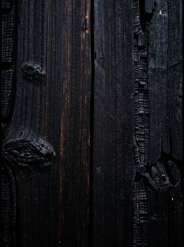 Extreme close-up of charred timber grain Shou Sugi Ban texture, dramatic low-key lighting, deep black tones, 35mm film