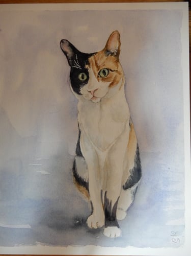 Sur Commande, aquarelle sur papier 100% coton, Sébastien Schoch