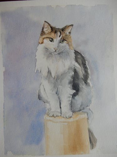Sur Commande, aquarelle sur papier 100% coton, Sébastien Schoch