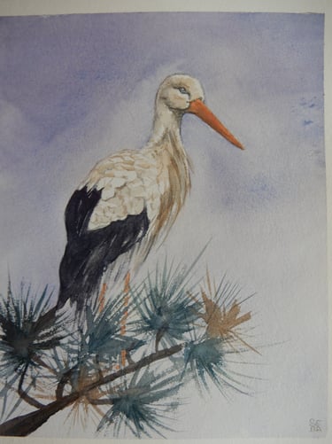 La Cigogne, aquarelle sur papier 100% coton, 24x30 cm, Sébastien Schoch