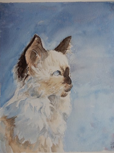 Sur Commande, aquarelle sur papier 100% coton, Sébastien Schoch