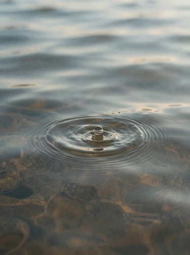 Macro shot of gentle ripples in clear water, soft focus, natural morning light, quiet and meditative.