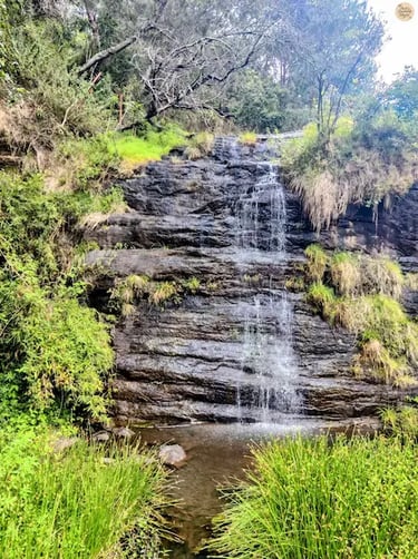 Fairy Falls in Kodaikanal with flowing summer waters.