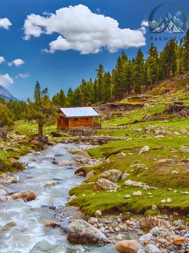 Water stream passing through fairy meadows