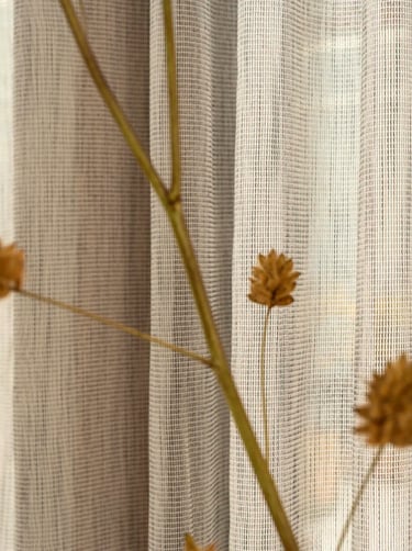 Užuolaidinis audinys MIra