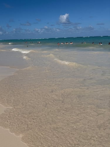 Punta Cana Beach at Bahia Principe Dominican Republic 