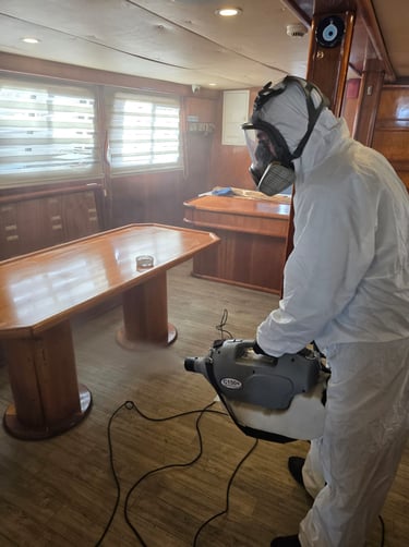 Pest Control Services Cyprus