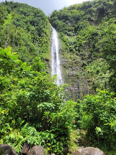 Pipiwail trail