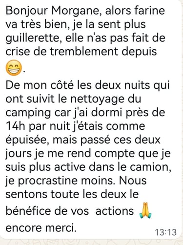 French text testimonial on a white background expressing gratitude for a camper van cleaning service.