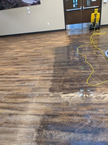 Commercial vinyl LVT floor cleaning at a retirement home in Olympia